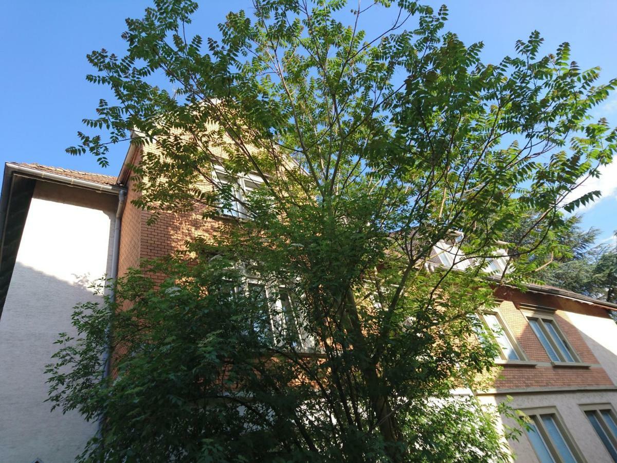 Nest City - Not A Hotel, Private Room With Shared Showers, No Parking, Breakfast, Or Kitchen, Towels Available For A Fee, Check-In 4 Pm To 11 Pm Konstanz Luaran gambar